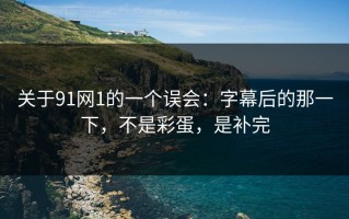 关于91网1的一个误会：字幕后的那一下，不是彩蛋，是补完